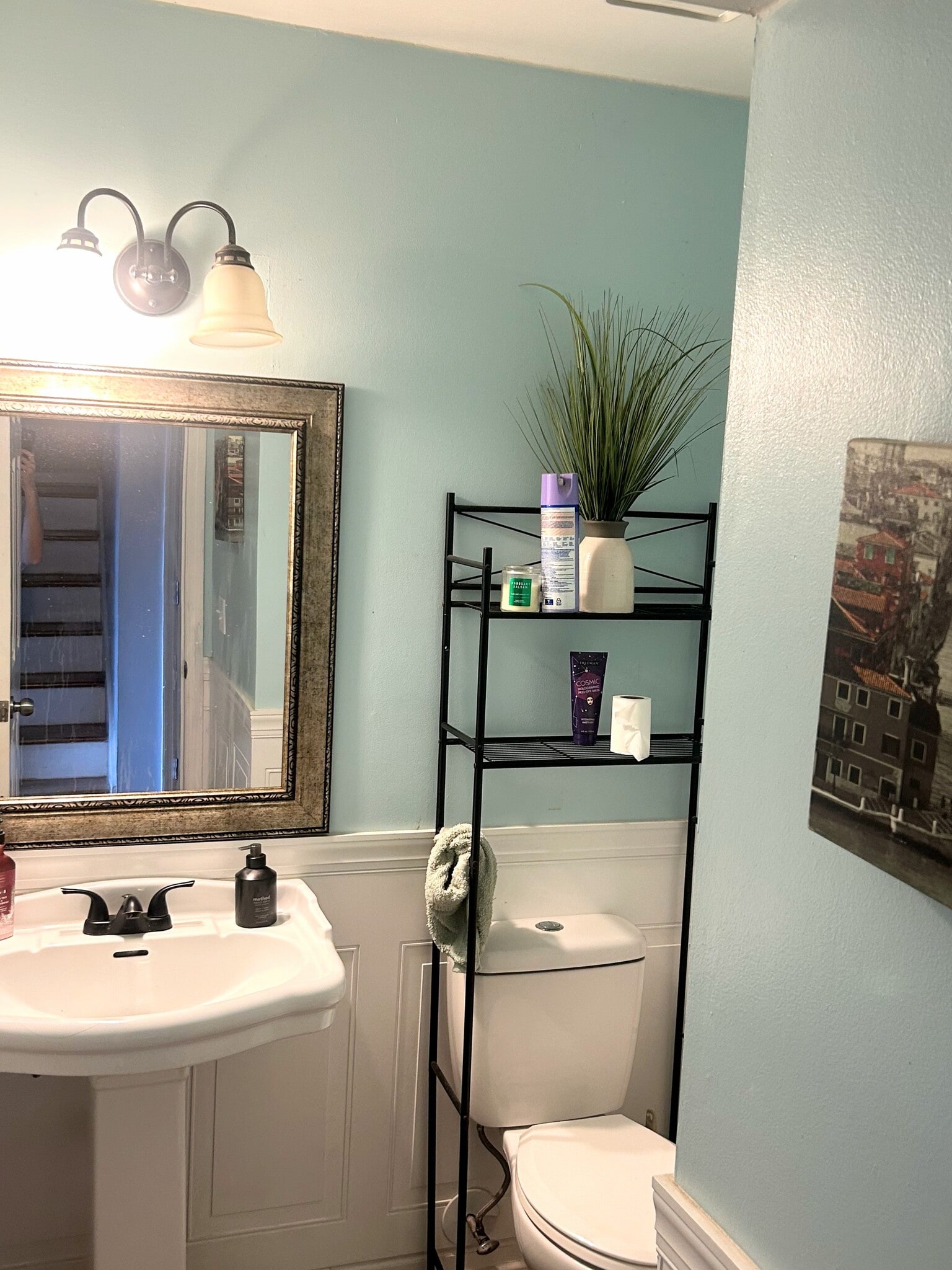 Downstairs half bath - 1428 DOVE RUN DR