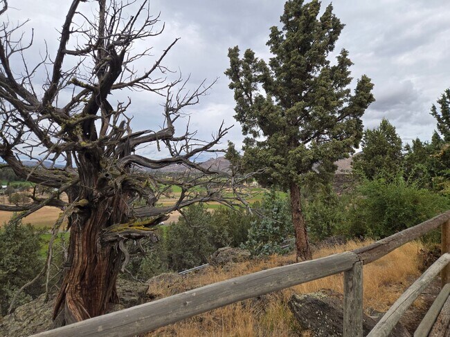 Building Photo - Stunning Views, Executive Home in Equestrian Meadows Redmond