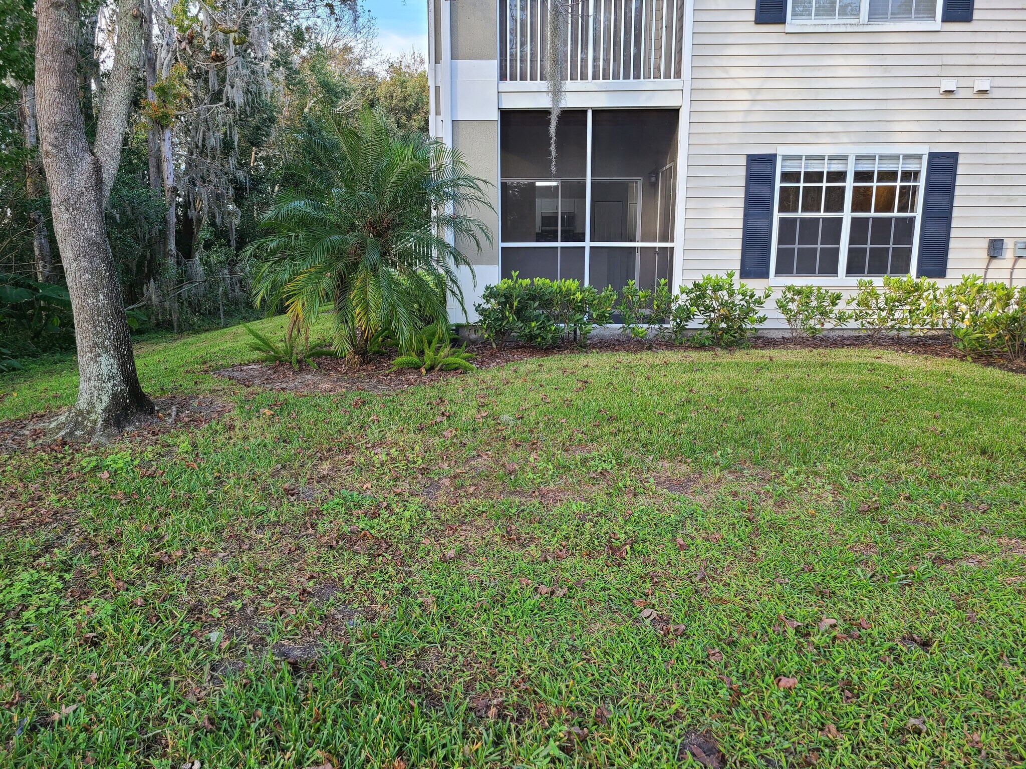 Outside3 - 4220 Summer Landing Dr