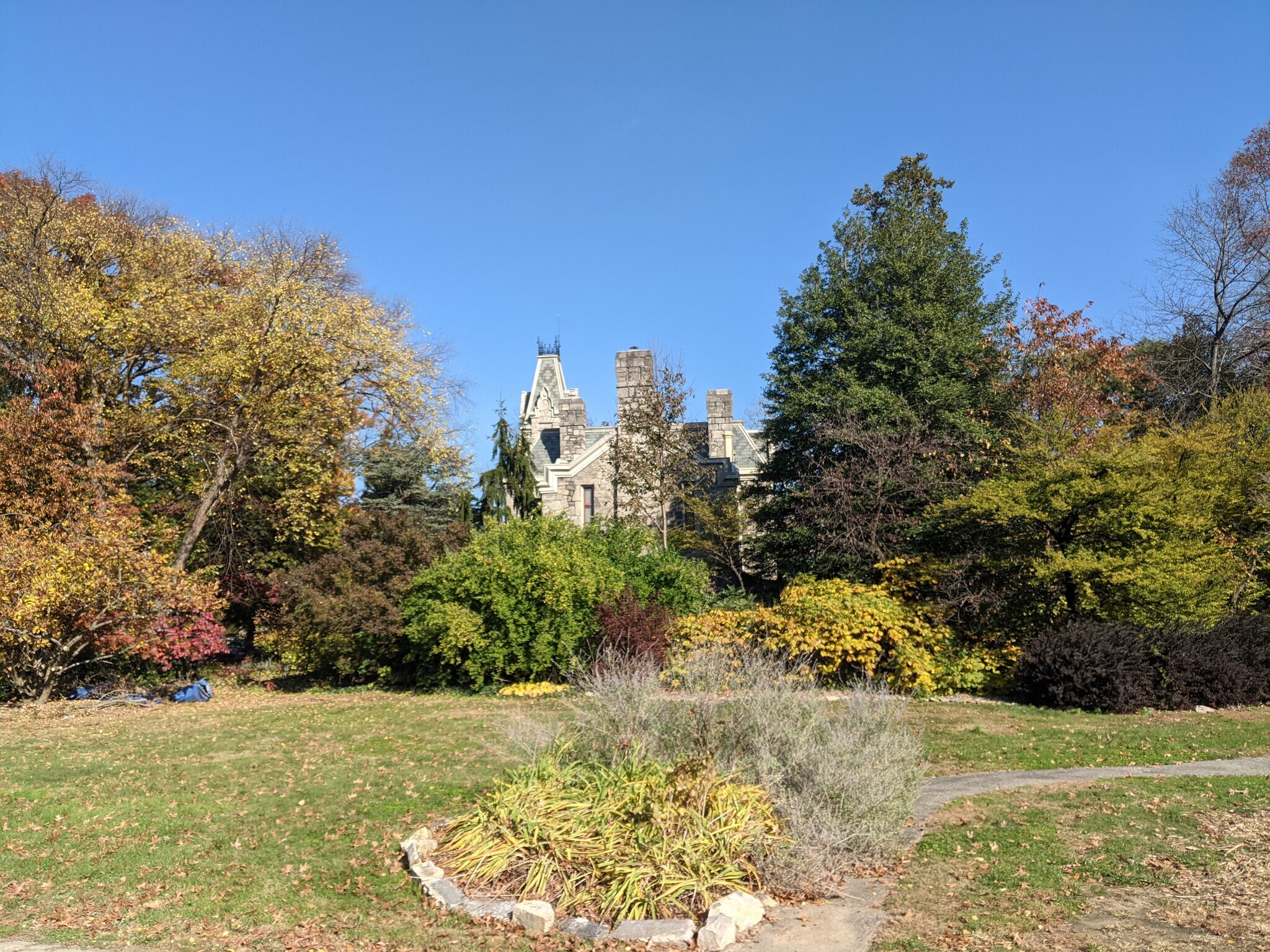 Side Yard - 225 W Pastorius St