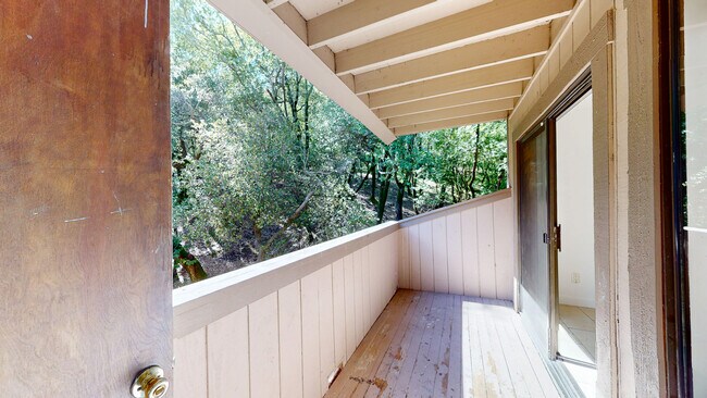 Building Photo - 37-1 Clay Ct-37