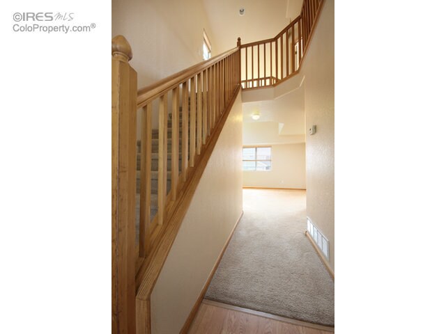 Building Photo - 1012 Tierra Ln