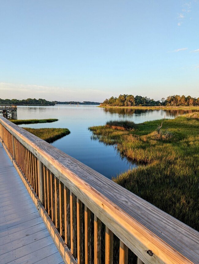 Building Photo - Gorgeous 4 Bedroom, 2.5 bath in Summerhouse community - Holly Ridge