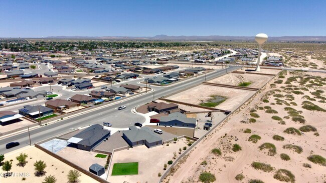 Building Photo - 14608 Adonis Blue Ct