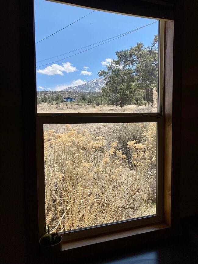 Methodist Mountain views from the desk - 7750 County Road 111