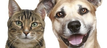 Building Photo - 2677 Humbug Creek Rd