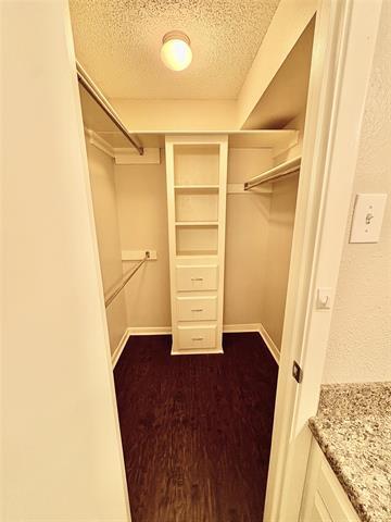 Building Photo - 10628 Pagewood Dr