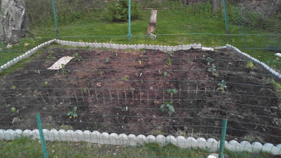 Garden - 275 croton dam road