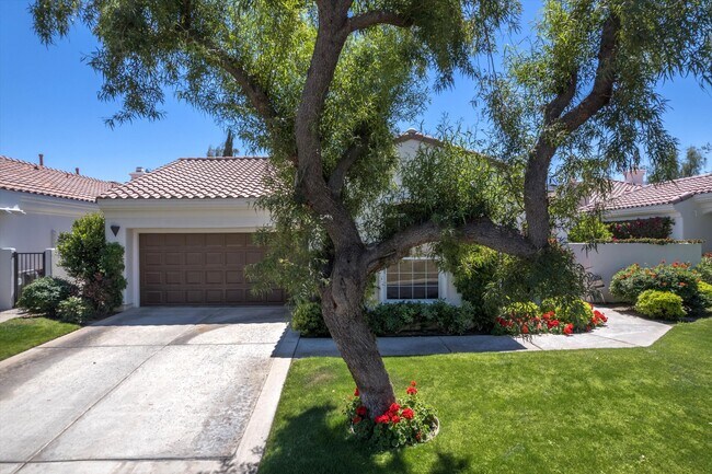 Building Photo - 79365 Mandarina