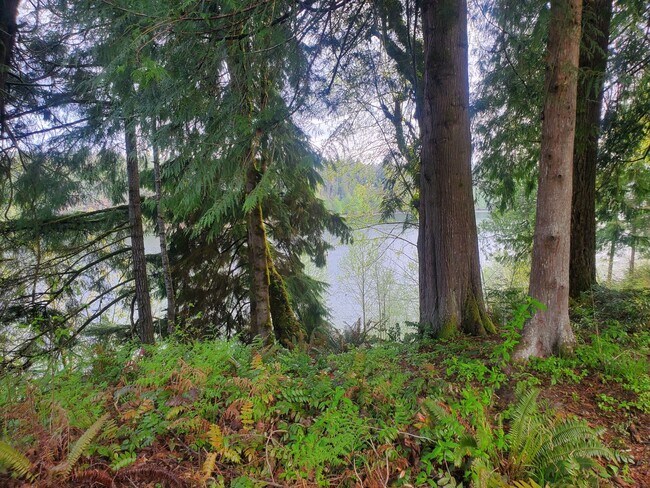 Building Photo - Beautiful home over the Hammersley Inlet