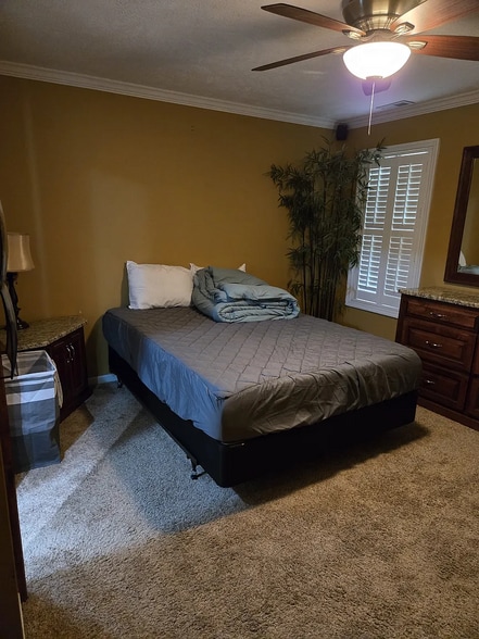 Master Bedroom - 322 Bubble Creek Ct