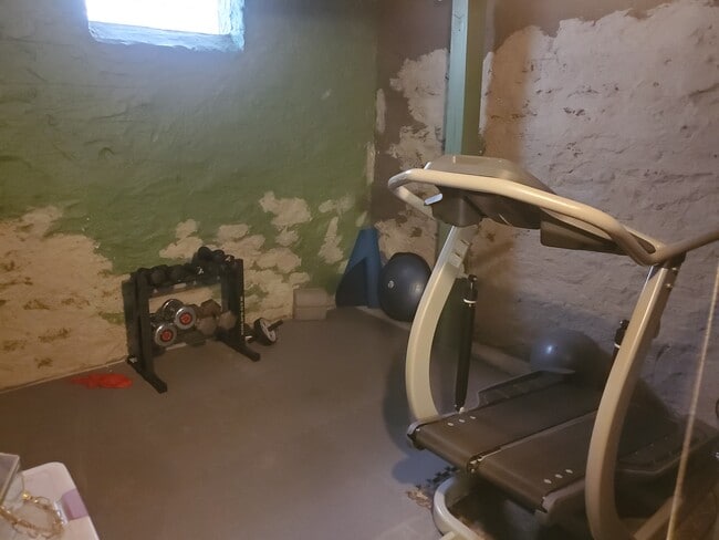 Workout / Gym area - 263 Senator Pl