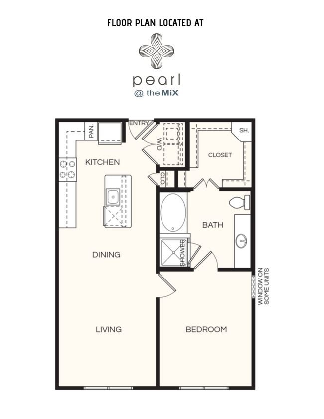 1x1 - Midtown Houston Living