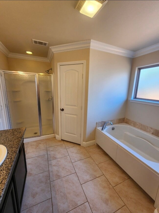 Building Photo - 3 bed 2 bath 2 car garage in Lone Star Trails!