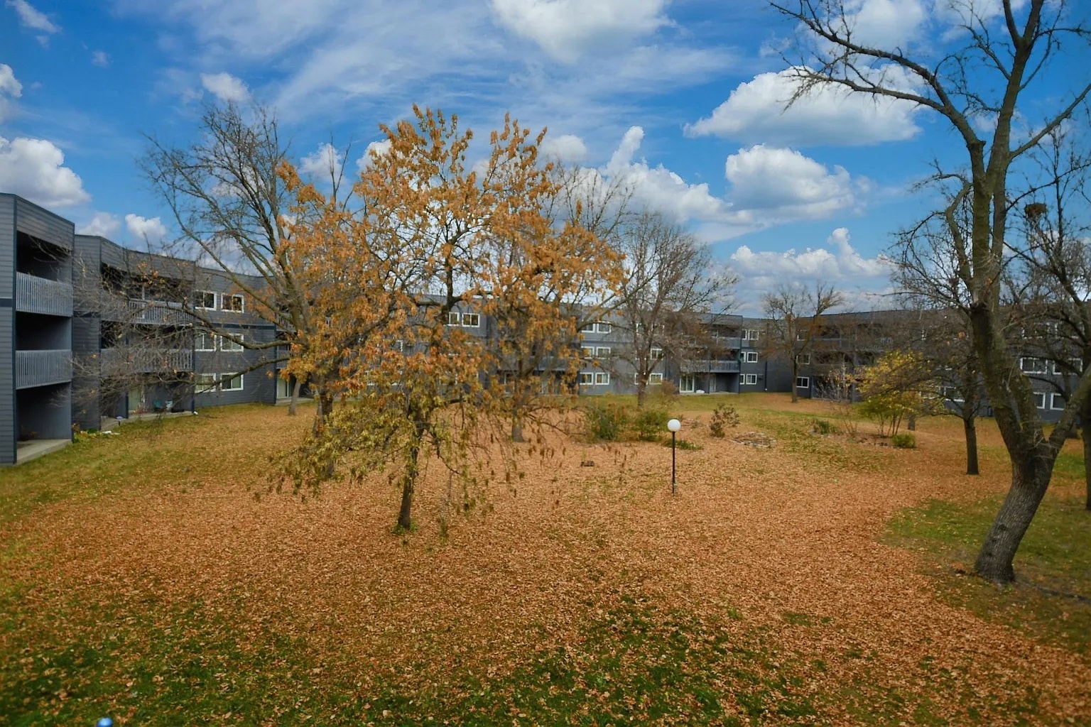 Deck View - 2930 Blaisdell Ave