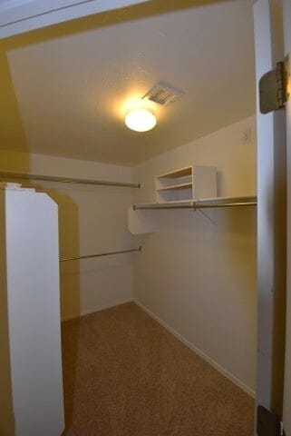 Building Photo - 3 Bedroom, 2 Bathroom Home with Amazing Views