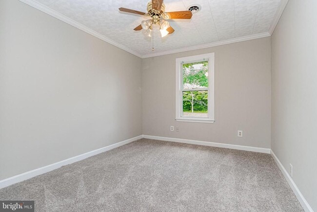 Building Photo - 56 Porter Ln