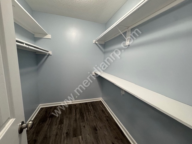 Building Photo - 1131 E Lewis St