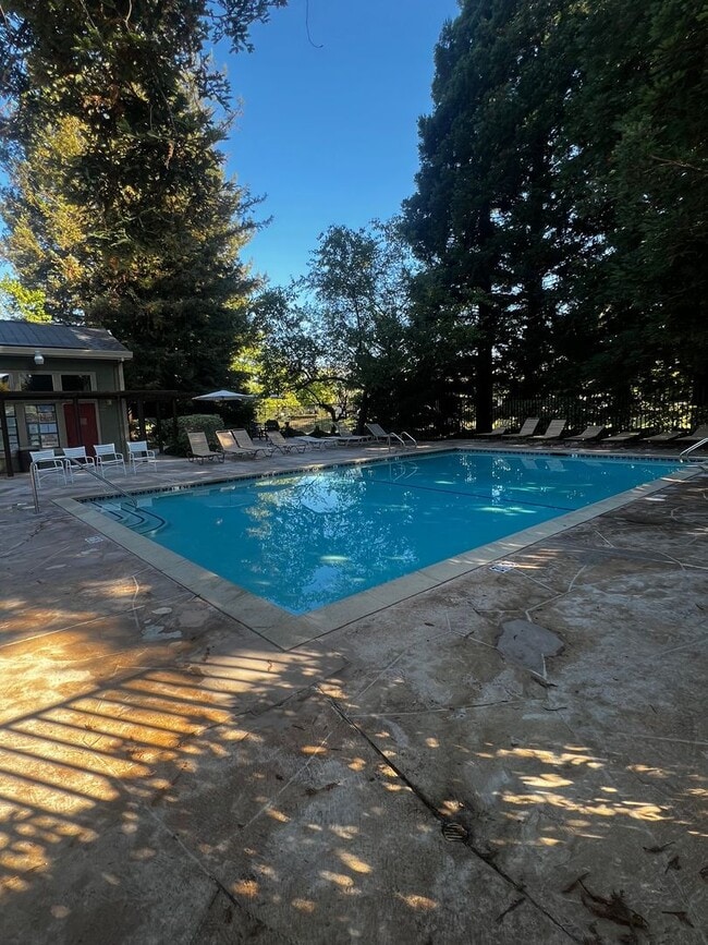 Building Photo - 3 Bedroom/2 Bathroom Single Story Home In ...