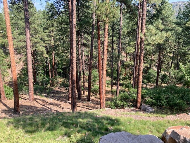 Building Photo - Custom home in the sought-after Edgemont H...