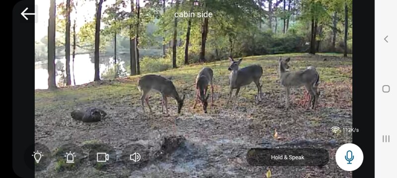 Building Photo - 621 St Luke Church Rd