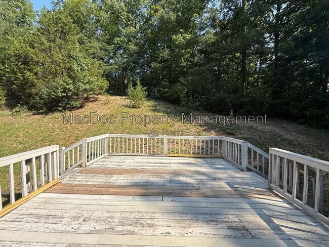 Building Photo - 11304 Springfield Dr