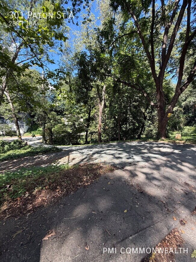 Building Photo - 301 Paton St