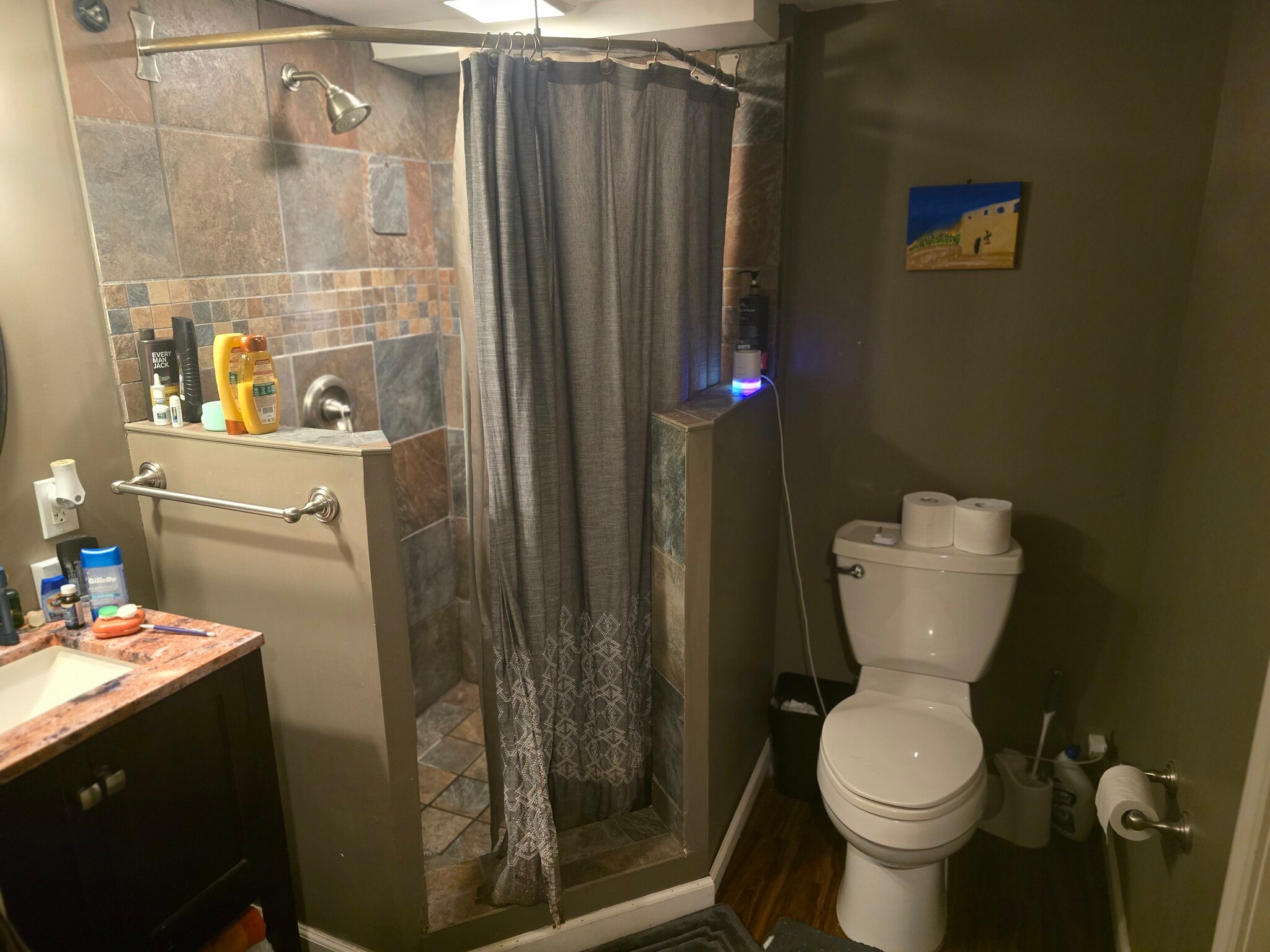 Basement bathroom - 416 Fairlawn Rd