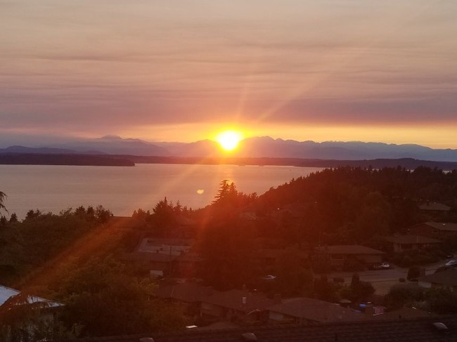 Sound and mountain view from patio - 8855 39th Ave SW