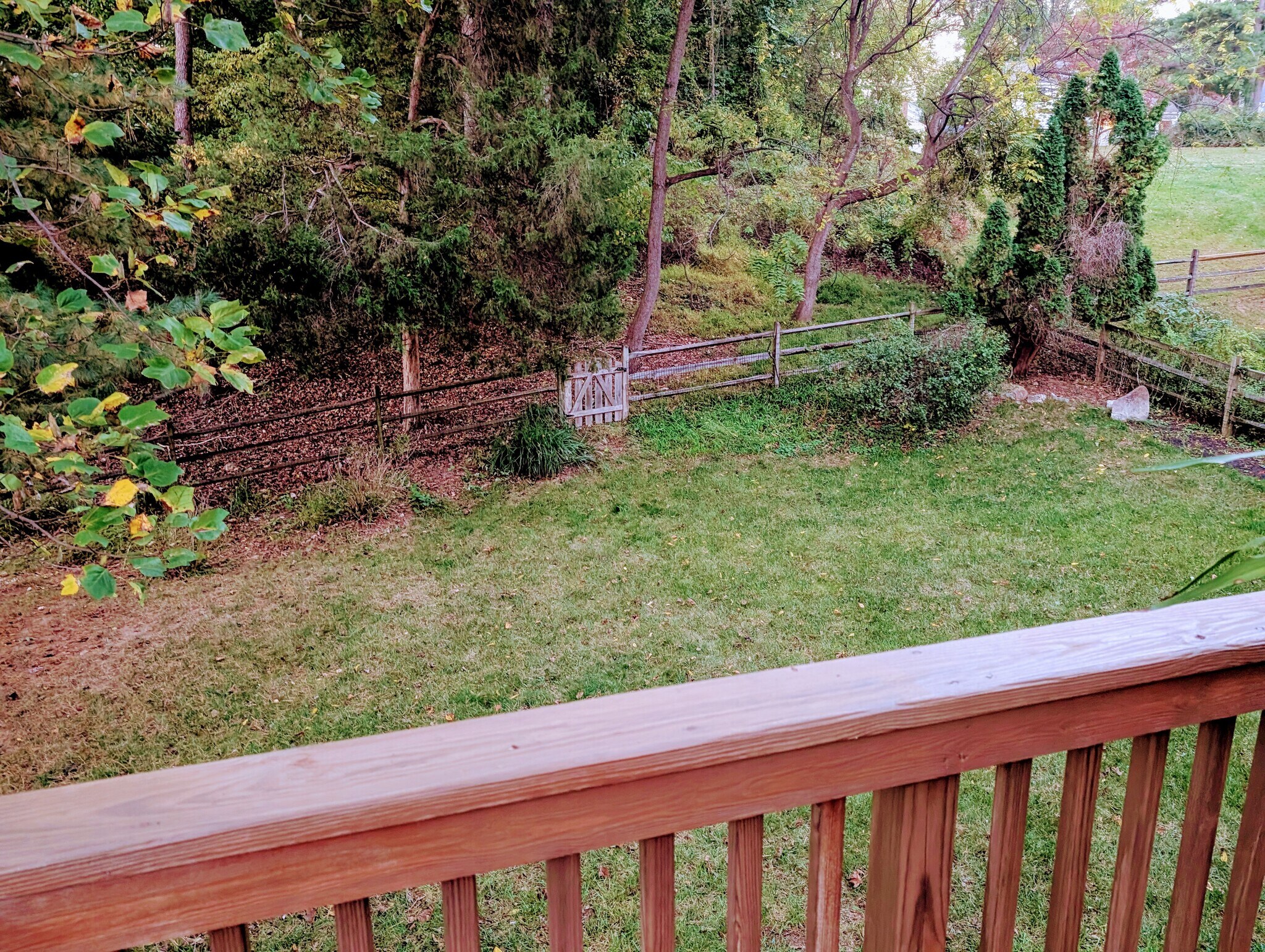 Building Photo - 8856 Youngsea Pl