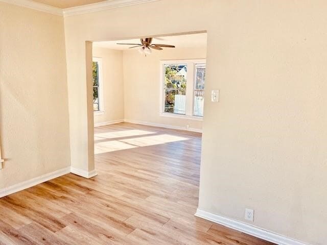 Building Photo - 1214 Des Jardines St