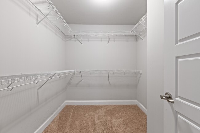 Building Photo - 2442 Snowshill Ln
