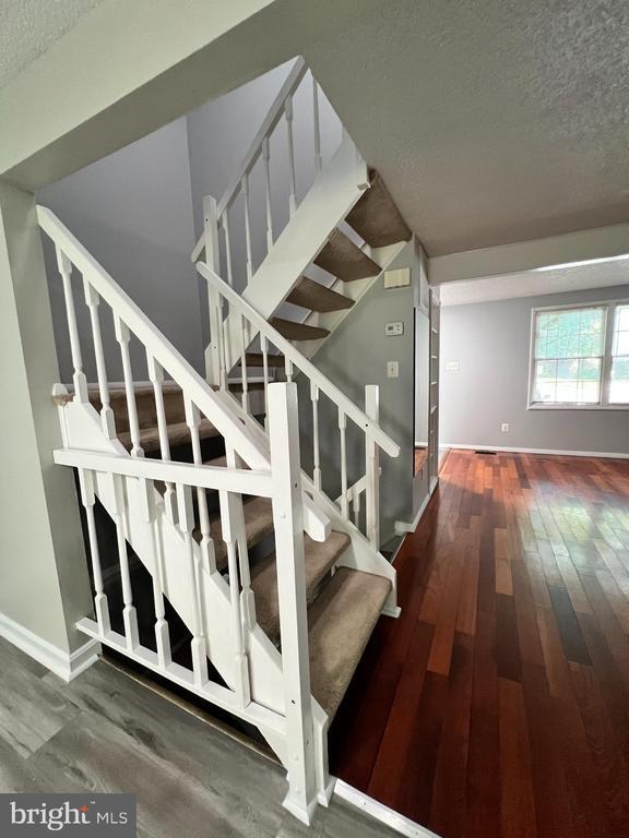 Building Photo - 8156 Dark Den Cir