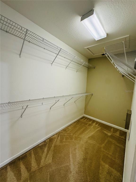 Building Photo - 6908 Sperone St