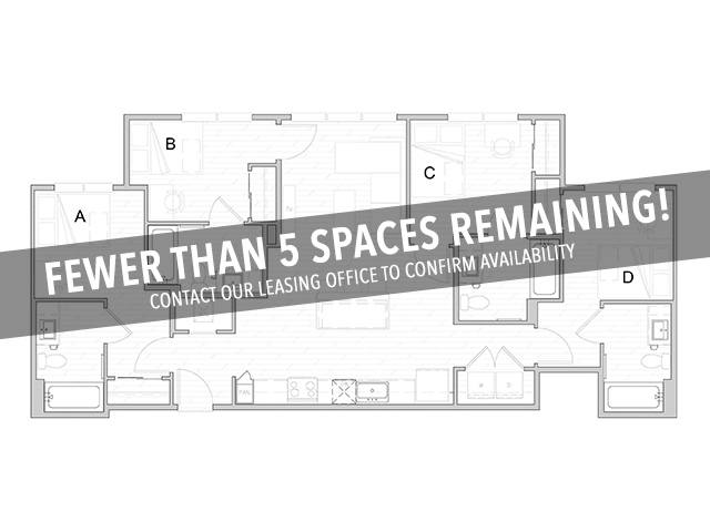 D1 - Fewer Than 5 Spaces Remaining! - Identity Davis Student Apartments