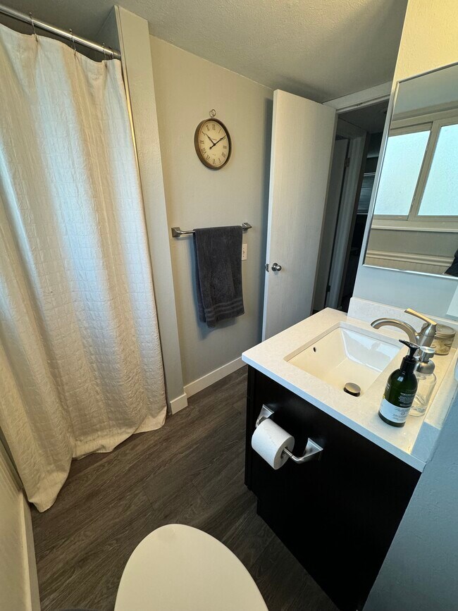 Lower Level Bathroom - 5879 S Oak St