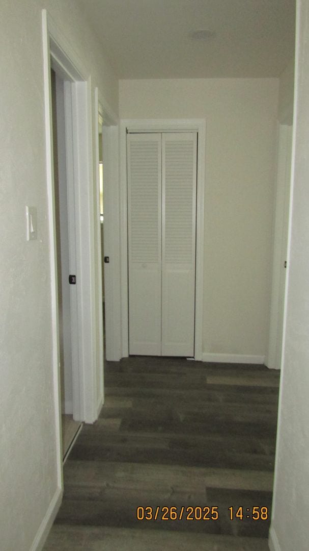 Building Photo - Newly renovated! Pet Friendly!