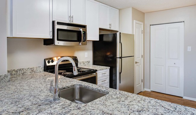 Modern kitchens include granite countertops and GE Clean Steel appliances - Burke Shire Commons Apartments