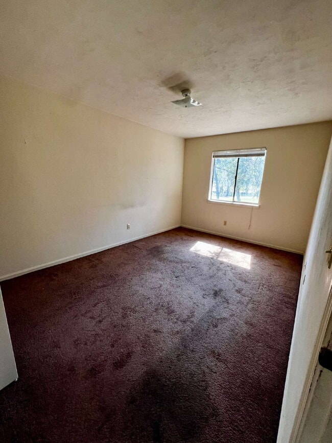 Building Photo - Spacious 2 Bedroom/1 Bath