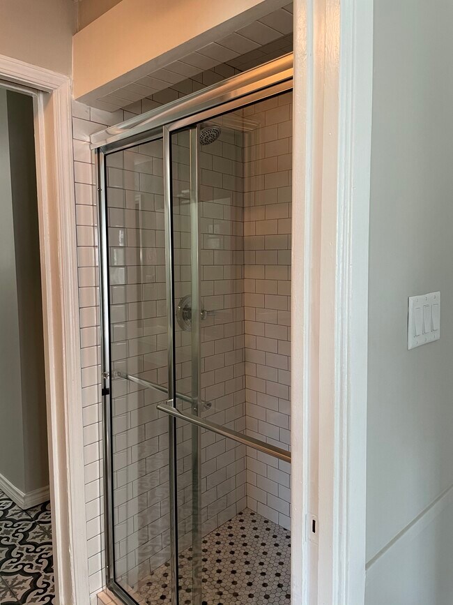 Updated primary shower - 1925 Driskill St