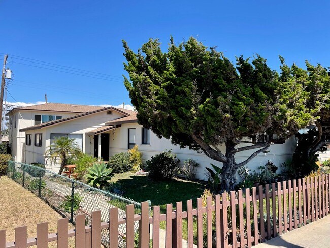 Building Photo - Across From The Beach in South O!