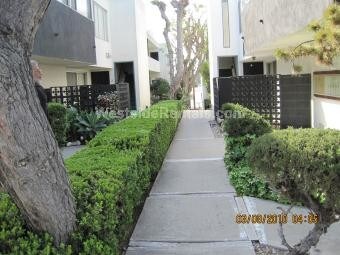 Building Photo - 809 Edgewood Street