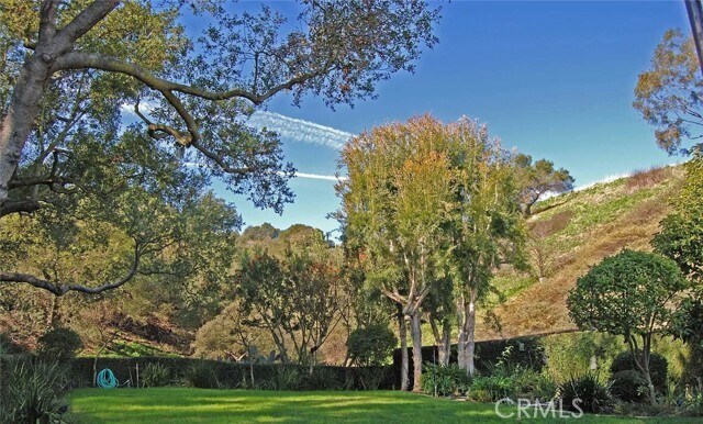 Building Photo - 2539 Saleroso Dr