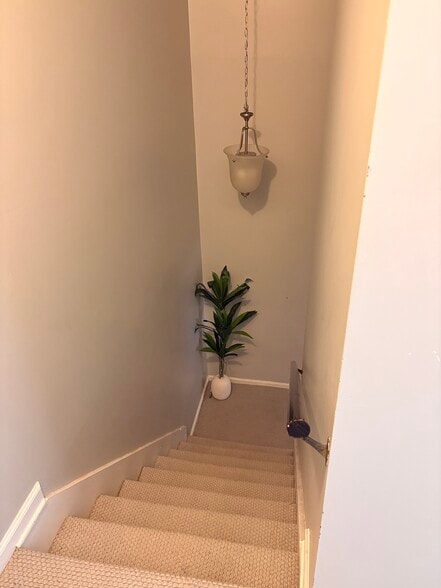 Building Photo - 5063 Popperdam Creek Dr