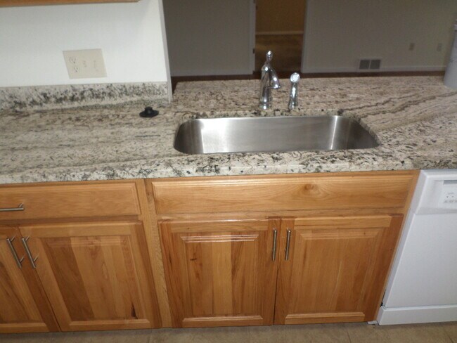 Kitchen Detail - Granite Counters - 18 Klines Cv