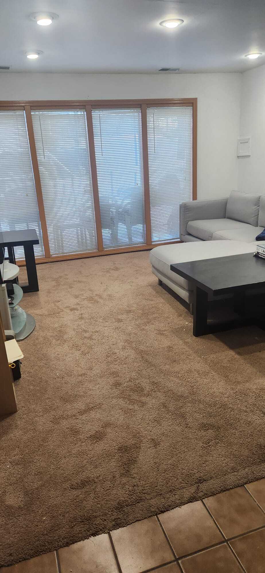 Downstairs livingroom from garage door - 2116 Thaler Ave