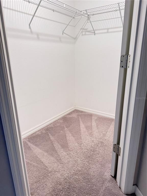 Building Photo - 3590 Bellmeade Ct
