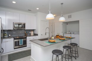 Interior Photo - Anthem on Ashley