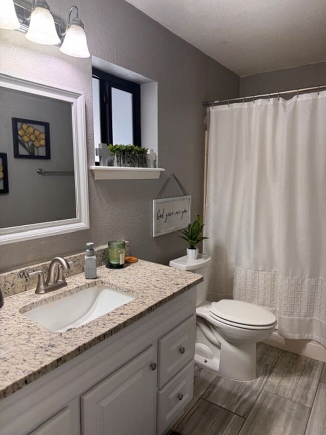 Building Photo - beautiful swimming pool and backyard oasis! fully remodeled home new appliances !