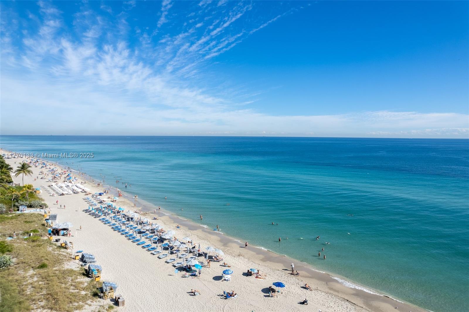 Building Photo - 2600 E Hallandale Beach Blvd